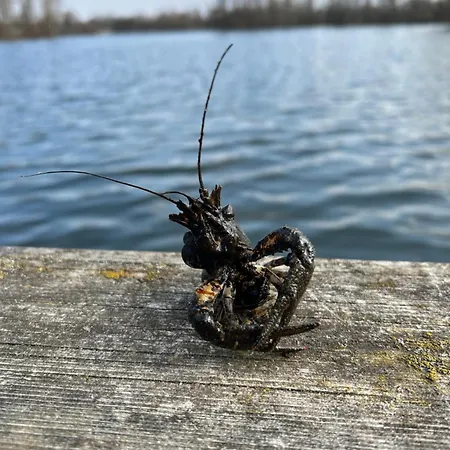 Direkt Am Mit Privatem Sandstrand Ferienhaus *