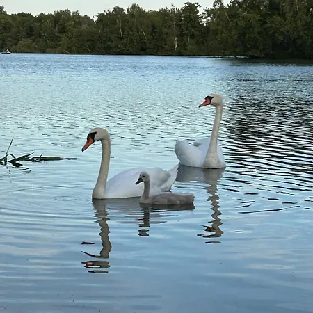 Direkt Am Mit Privatem Sandstrand Ferienhaus Guster